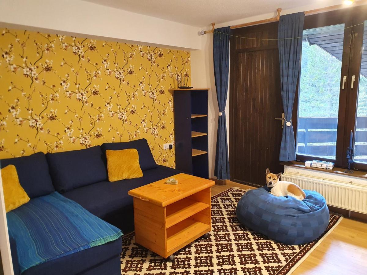 M & M Apartment Krvavec Cerklje na Gorenjskem Eksteriør billede